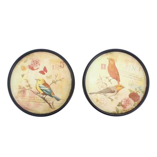 9 x 9 Multi-Color Rustic Bird Plate - Painting Set