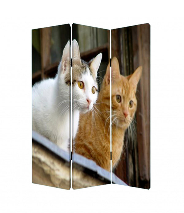 1 x 48 x 72 Multi Color Wood Canvas Curious Cat  Screen