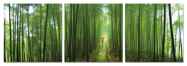 24' Canvas 3 Panels Forest Color Photo