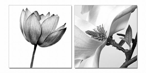 24' Black and White Canvas 2 Panels Photo