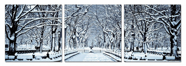 24' Multicolor Canvas 3 Horizontal Panels Winter Trees Photo