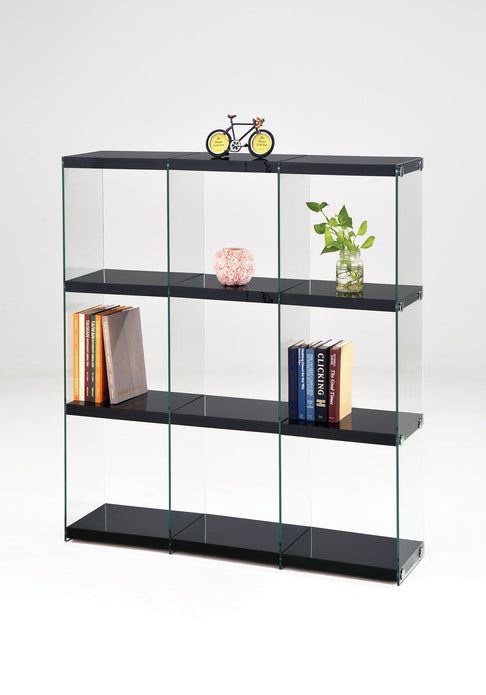 47' X 12' X 53' Black And Clear Glass Bookcase