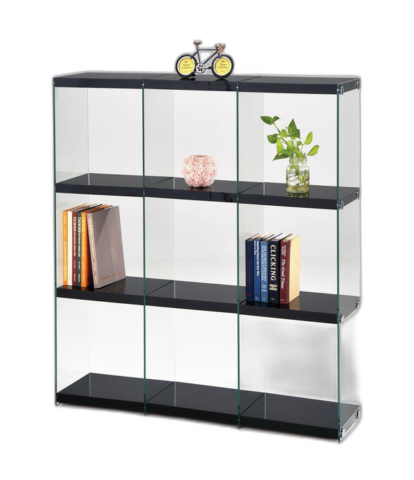 47' X 12' X 53' Black And Clear Glass Bookcase