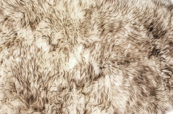 48" x 72" x 2" Gradient Chocolate Quattro Sheepskin - Area Rug