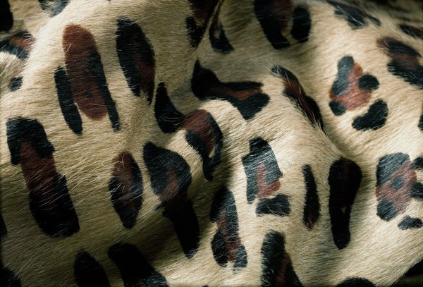 60" x 84" Leopard Cowhide - Area Rug