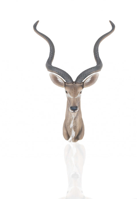 13" x 9" x 33" Antelope Head Wall Decorative