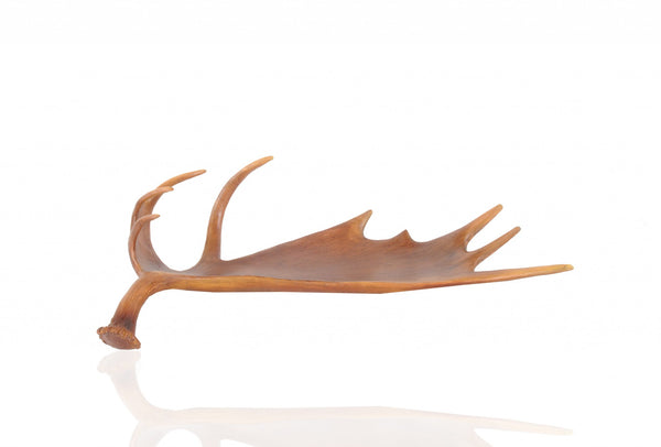 12" x 23.5" x 6.5" Deer Antler Tray