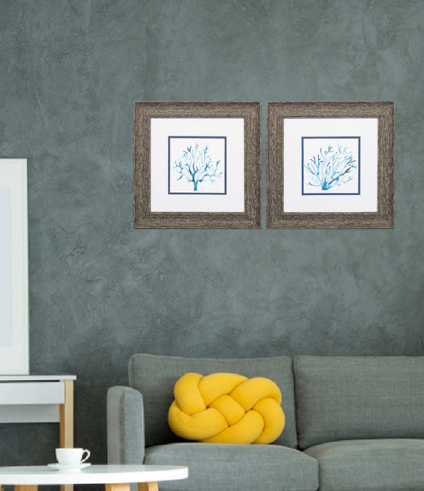 13' X 13' Distressed Wood Toned Frame Azure Seafan (Set of 2)