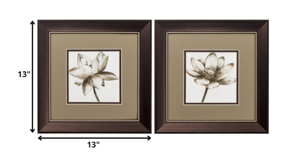 13' X 13' Metallic Bronze Frame Sepia Lotus (Set of 2)