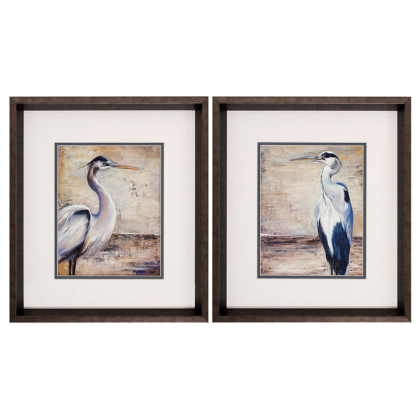 15' X 17' Brushed Silver Frame Shore Birds (Set of 2)