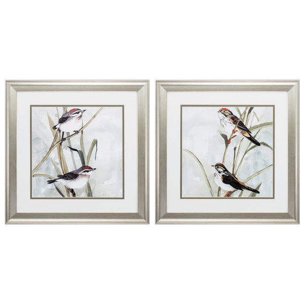 19' X 19' Brushed Silver Frame Neutral Spring (Set of 2)