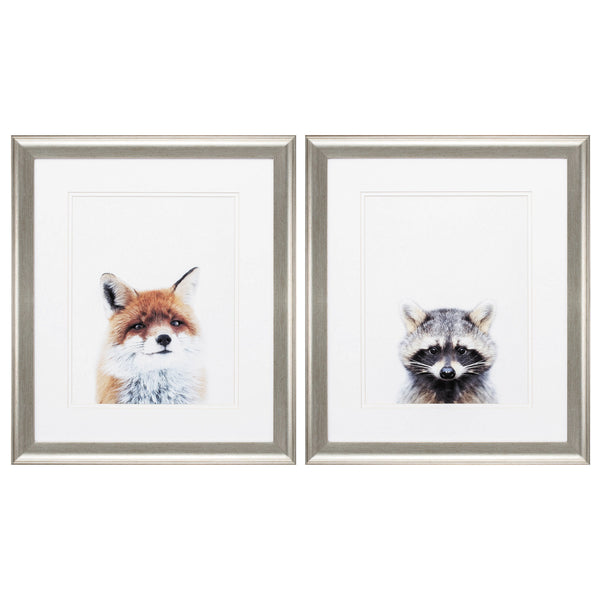 19' X 22' Brushed Silver Frame Fox Racoon (Set of 2)