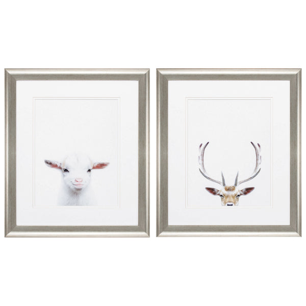 19' X 22' Brushed Silver Frame Goat Deer (Set of 2)