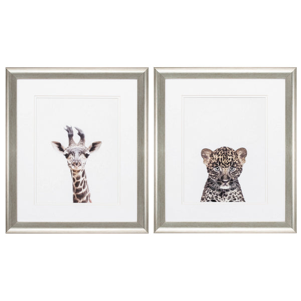 19' X 22' Brushed Silver Frame Giraffe Leopard (Set of 2)