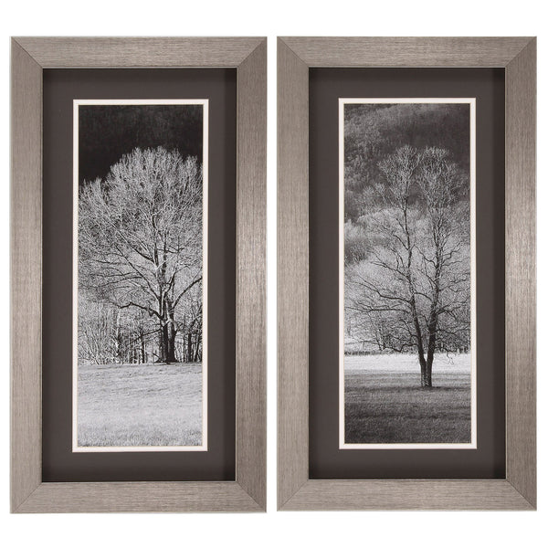 14' X 26' Silver Frame Black & White Trees (Set of 2)