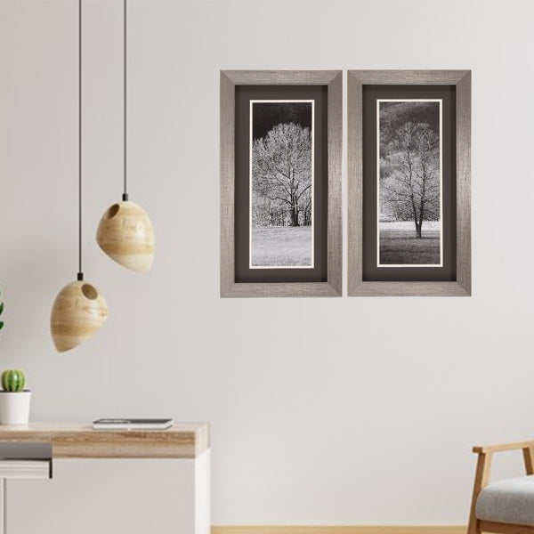 14' X 26' Silver Frame Black & White Trees (Set of 2)