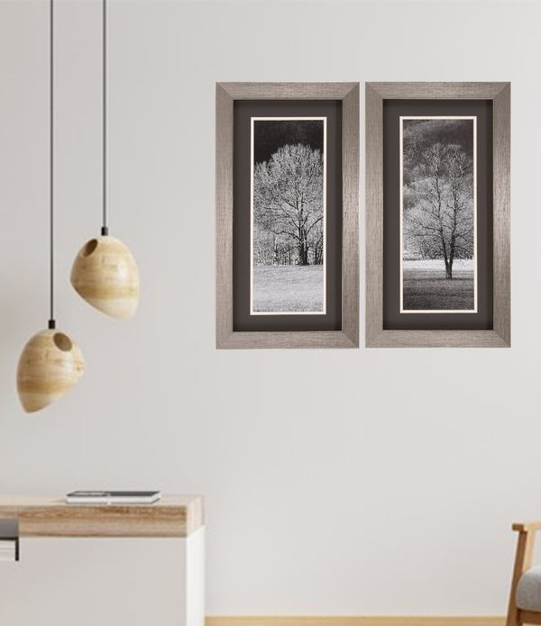 14' X 26' Silver Frame Black & White Trees (Set of 2)