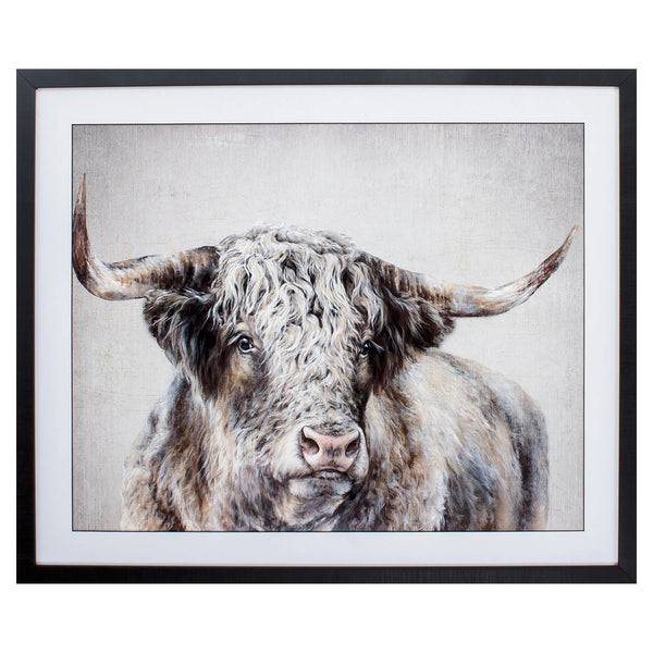 36' X 30' Brown Frame Grand Kyloe Bull