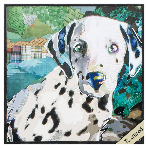 12' X 12' Distressed Black Frame Dalmation