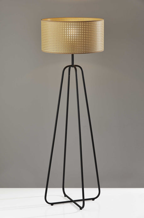 Open Cane Web Natural Shade Floor Lamp with Dark Bronze Base