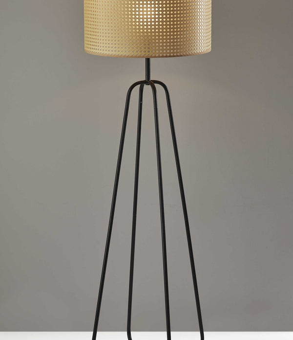 Open Cane Web Natural Shade Floor Lamp with Dark Bronze Base