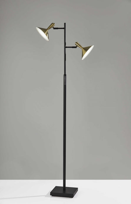 Double Brass Spotlight LED Floor Lamp in Black Metal