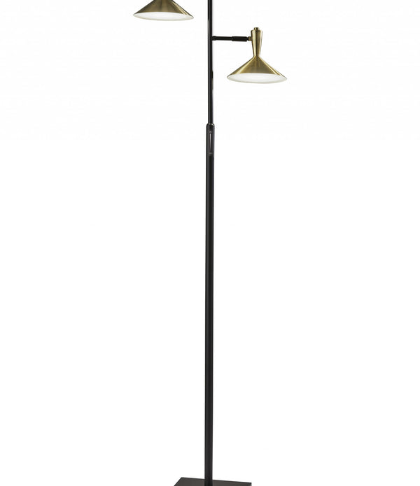 Double Brass Spotlight LED Floor Lamp in Black Metal