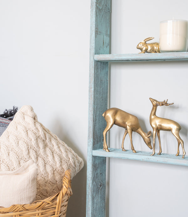 5 Step Rustic Turquoise Wood Ladder Shelf