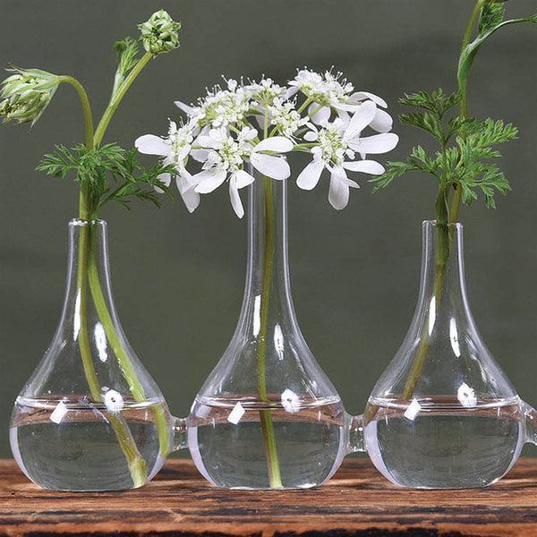 Quintuplet Set of Five Joined Glass Posy Vases