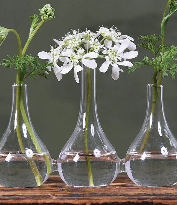 Quintuplet Set of Five Joined Glass Posy Vases