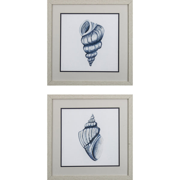 Set of 2 Blue Shells A Framed Art