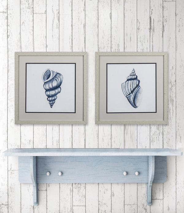 Set of 2 Blue Shells A Framed Art