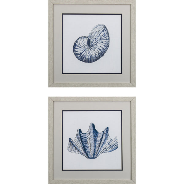 Set of 2 Blue Shells B Framed Art