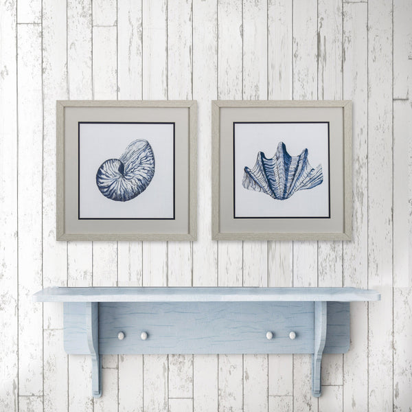 Set of 2 Blue Shells B Framed Art