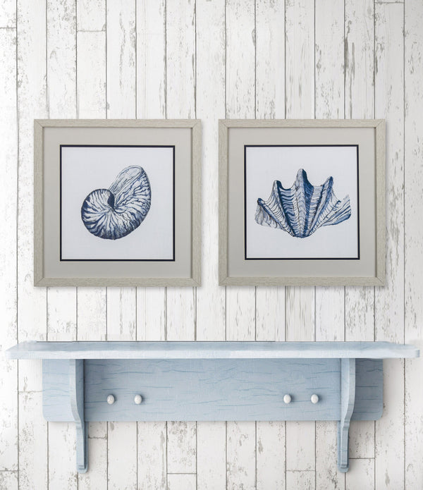 Set of 2 Blue Shells B Framed Art