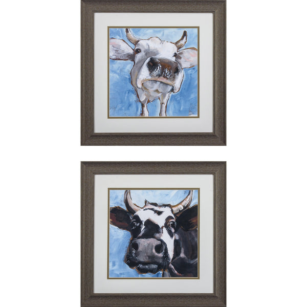 Set of 2 Cattle Close Up Framed Art