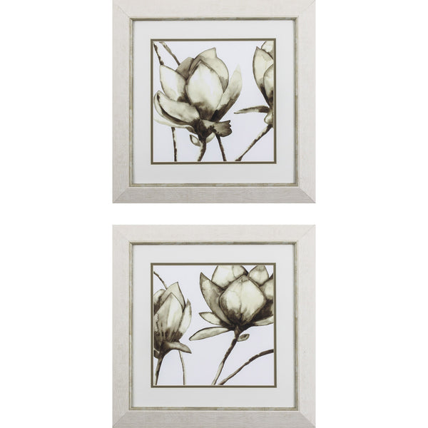 Set of 2 Magnolia A Framed Art