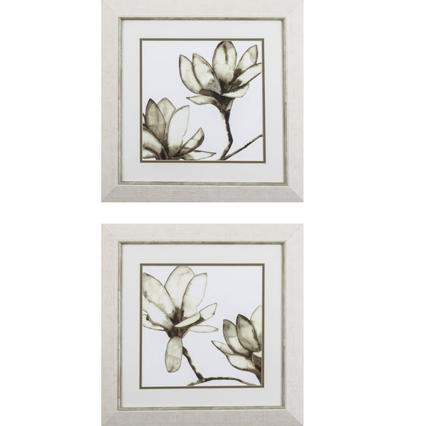 Set of 2 Magnolia B Framed Art