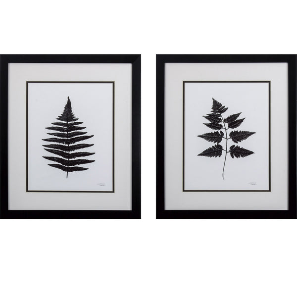 Set of 2 Black Fern Framed Art