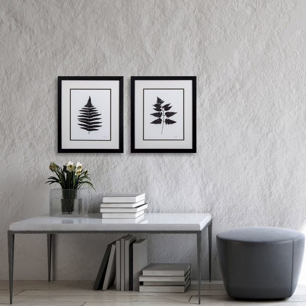 Set of 2 Black Fern Framed Art