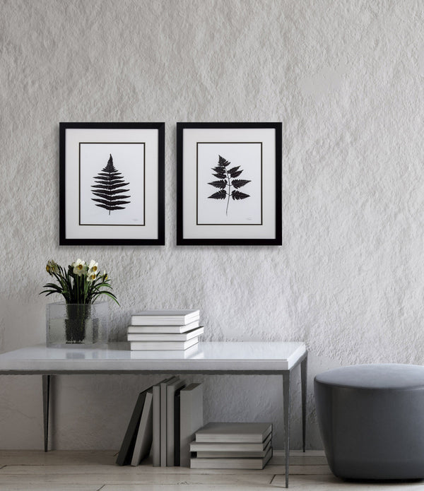 Set of 2 Black Fern Framed Art