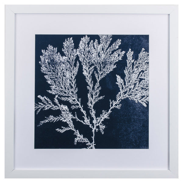 Indigo and White Coral II Framed Art