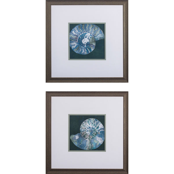 Set of Two Nautilus Framed Art