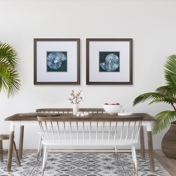 Set of Two Nautilus Framed Art