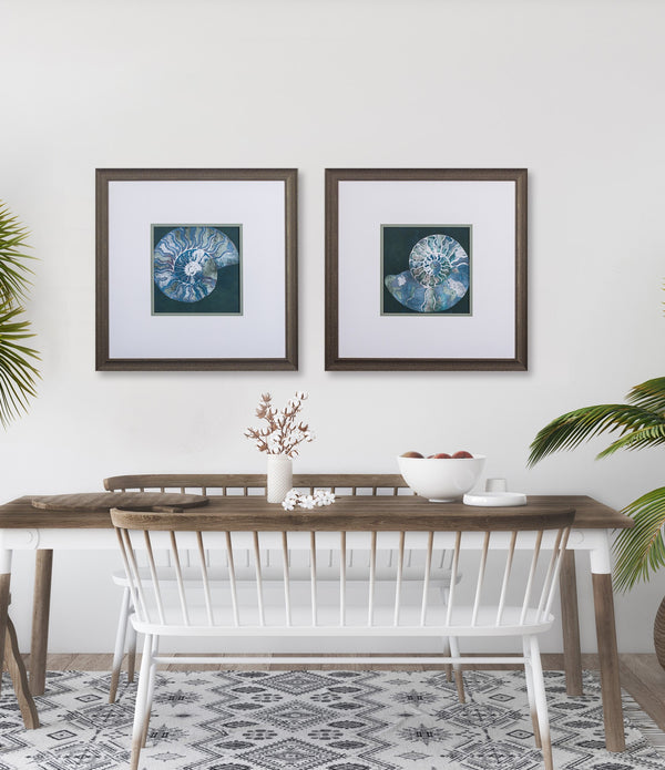 Set of Two Nautilus Framed Art