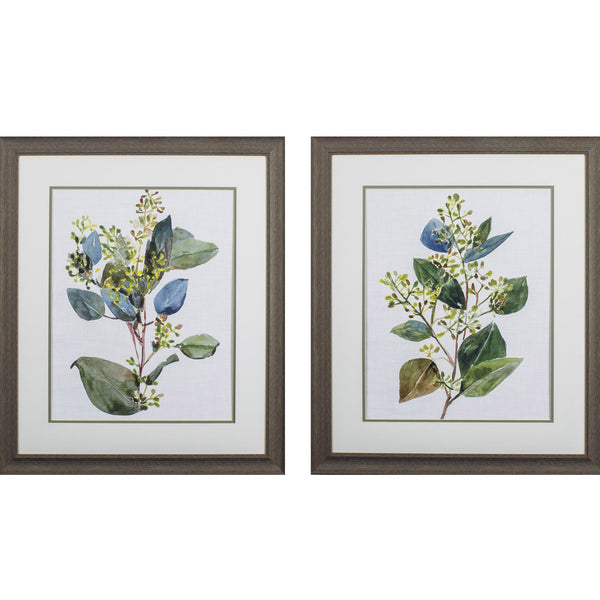 Set of Two Seeded Eucalyptus Abstract Framed Art