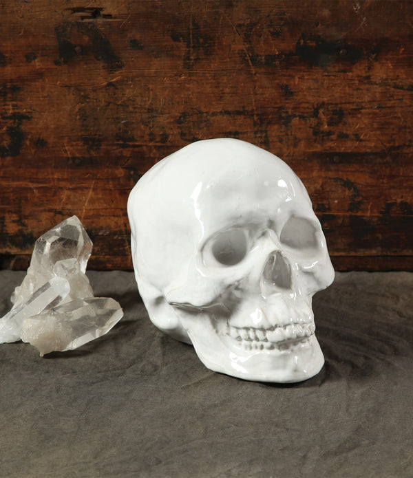 White Ceramic Skull Sculpture