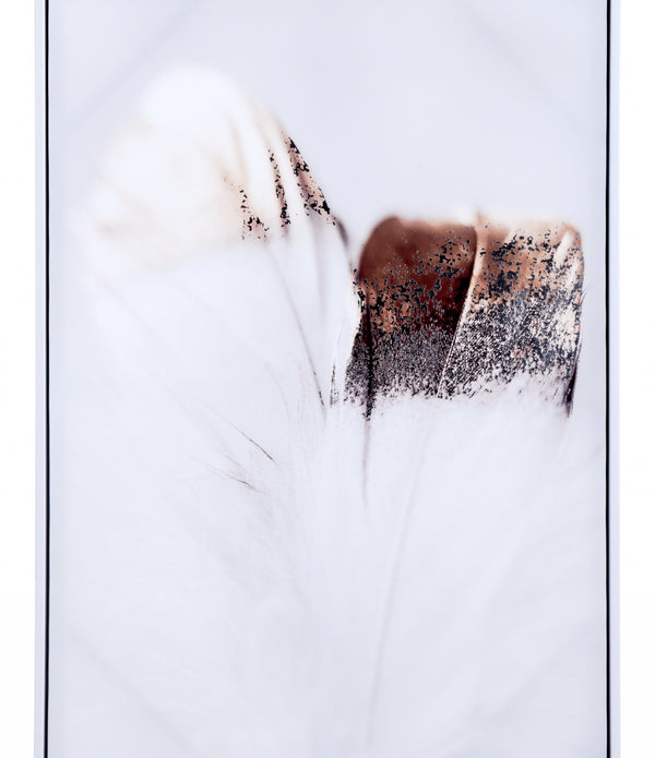 Gold and White Lone Feather Painting