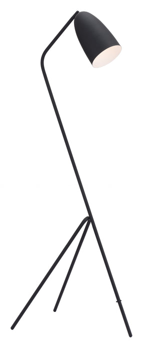 Matte Black Angled Tripod Floor Lamp