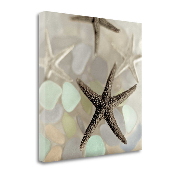 13" Four Starfish and Faded Seaglass 2 Giclee Wrap Canvas Wall Art